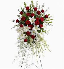 images (95)